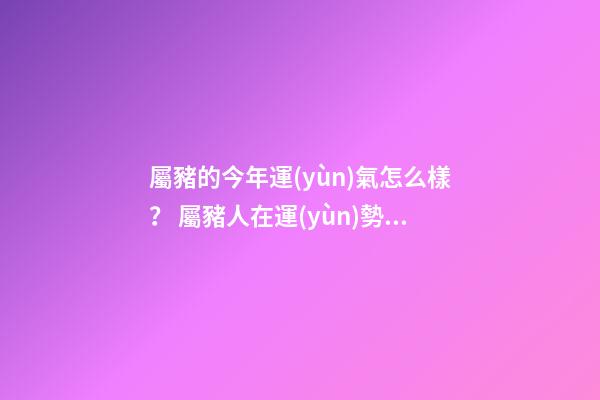 屬豬的今年運(yùn)氣怎么樣？ 屬豬人在運(yùn)勢如何